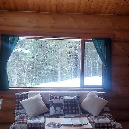 Rocky Mountain Escape Log Cabin Rentals - Rock Lake Rock Lake Lodge Provincial Park Exterior photo