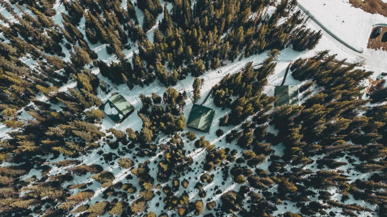 Lodge Rocky Mountain Escape Log - Rock *