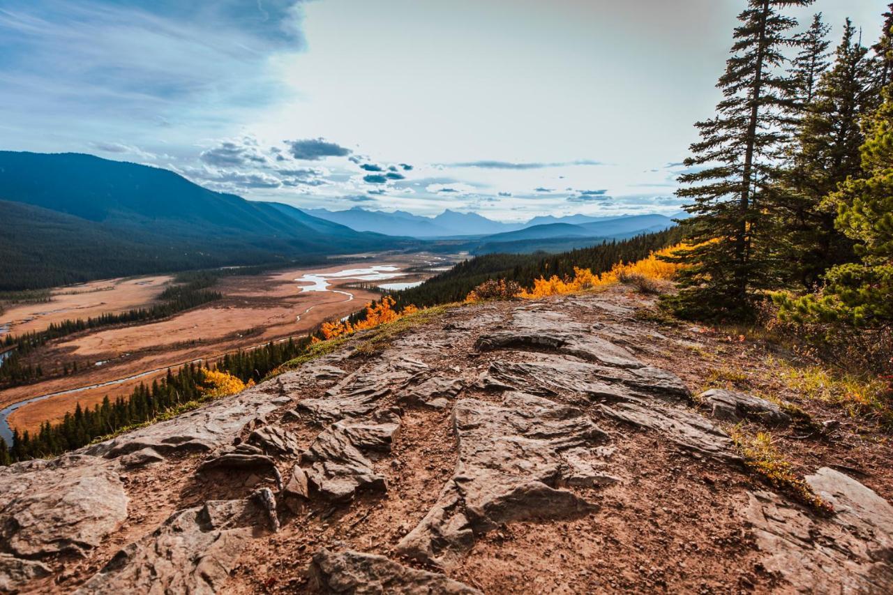 Rocky Mountain Escape Log - Rock * Rock Lake Lodge Provincial Park