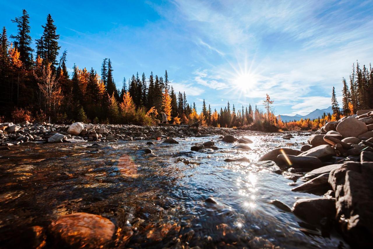 Rocky Mountain Escape Log - Rock