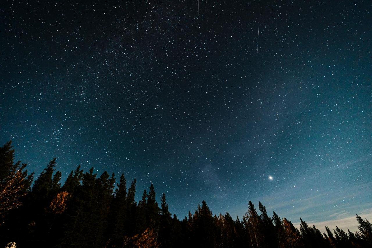 Rocky Mountain Escape Log - Rock * Rock Lake Lodge Provincial Park