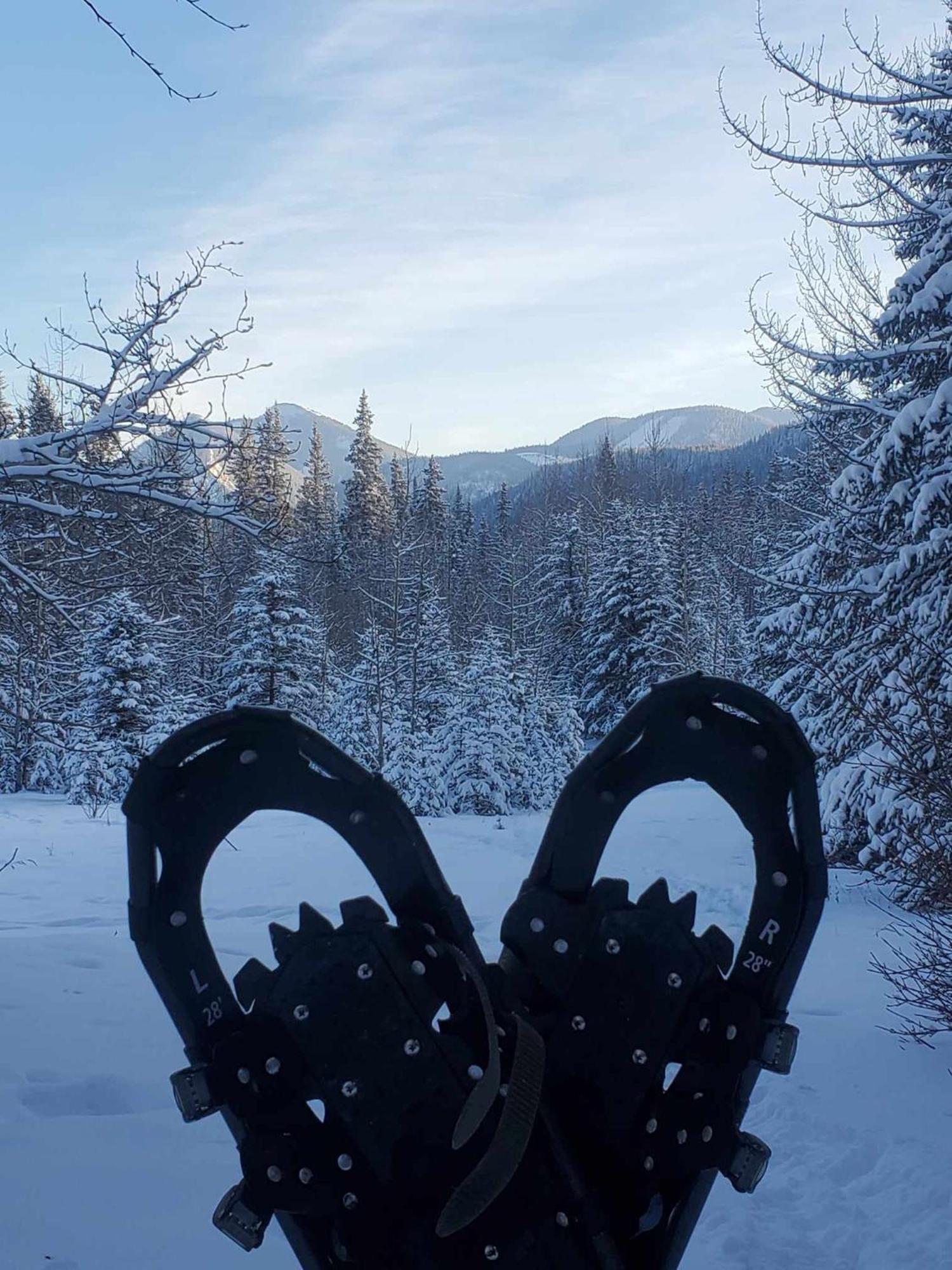 Lodge Rocky Mountain Escape Log - Rock *